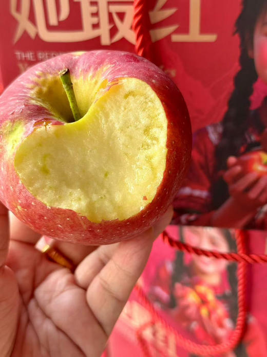 云南红露苹果以野生苹果的生长方式蔓延，没有农药，没有污染，果香浓郁口感更甜、更脆、更多汁😋云南昼夜温差大 部分果子糖心的表现非常优秀👍3斤/箱 商品图1