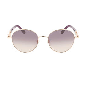 7886895643863 Salvatore Ferragamo 【商场同款】Ferragamo新品欧美时尚圆框复古休闲太阳镜墨镜女