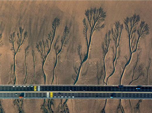 【航拍团】“钱塘江大潮”追潮、潮汐树4天摄影团 商品图1