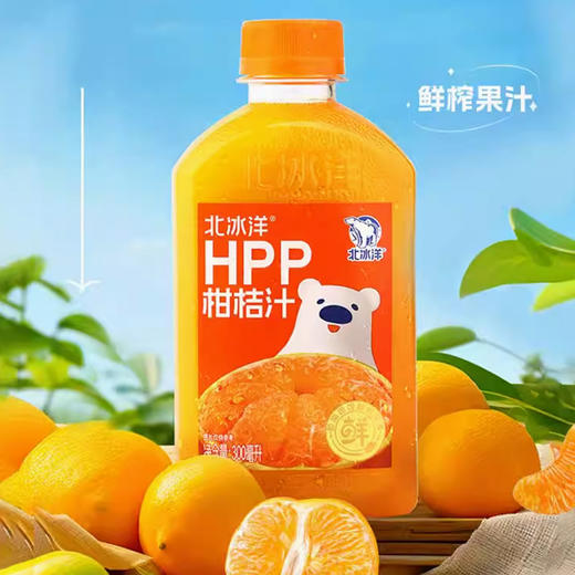 北冰洋HPP柑桔汁PET300ml，保质期45天 商品图2