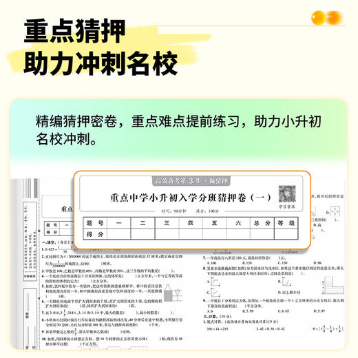 25版 新初一入学分班卷 语文+数学+英语 商品图5