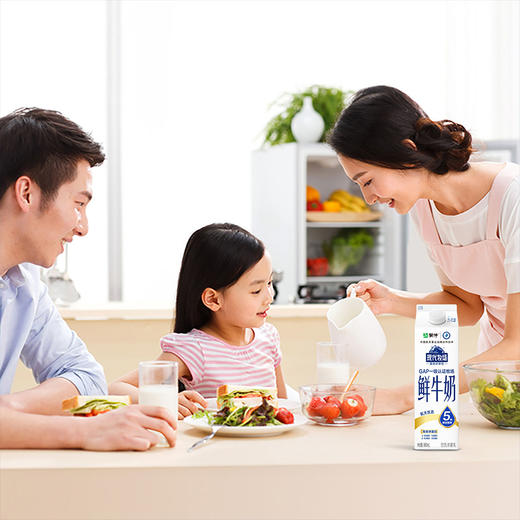 蒙牛现代牧场960ml鲜奶，保质期15天 商品图3