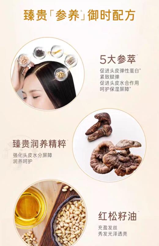 RYO黑吕臻参焕活御时昇机洗发水/护发素400ml 5大参养萃焕活头皮光泽提升润养 新老包装随机 商品图4
