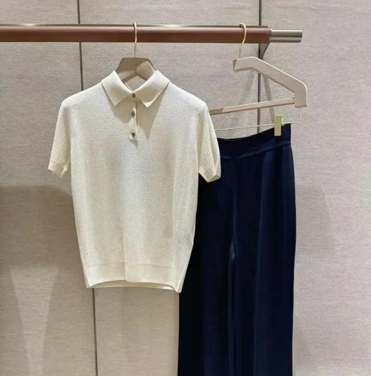 富家千金既视感   重磅！LP翻领polo短袖  镂空桑蚕丝超细羊毛 商品图2