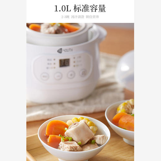 艾青春 电炖锅10A 商品图3