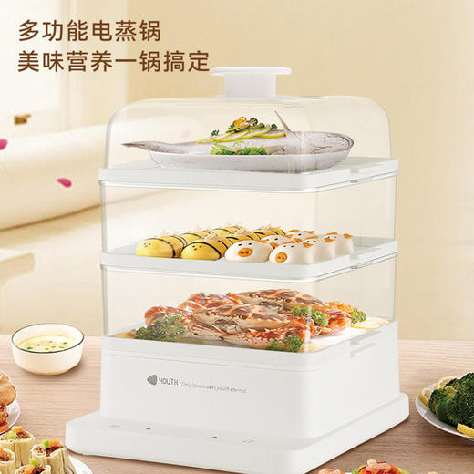 艾青春 智能款电蒸锅KH-Z06（22L） 商品图0