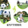 【云优选】Hape户外弹力橡皮足球76cm大号充气加厚儿童运动玩具草地草坪公园（使用后不支持7天无理由退货，介意慎拍） 商品缩略图1