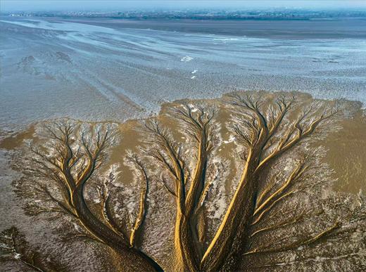 【航拍团】“钱塘江大潮”追潮、潮汐树4天摄影团 商品图3