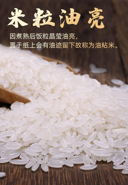 马坝油粘米（特级）5kg/袋， 省内包邮 商品图1