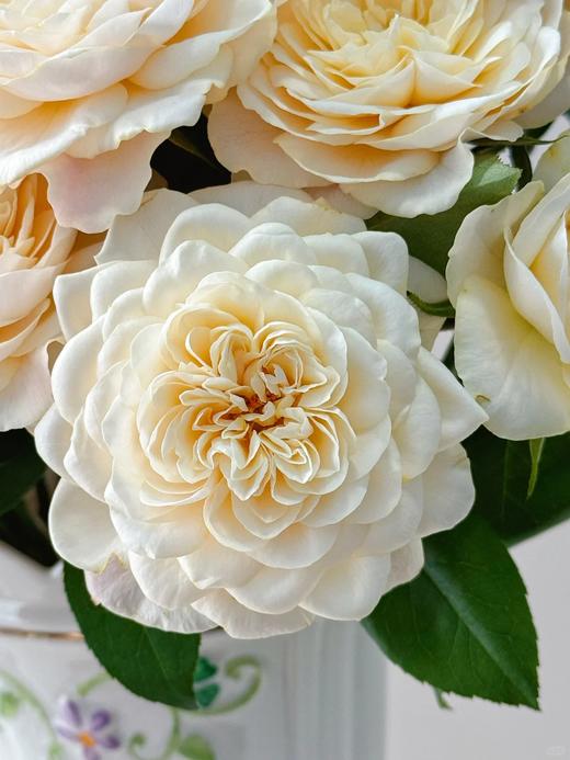 国产多头黄美琴玫瑰10支 商品图2