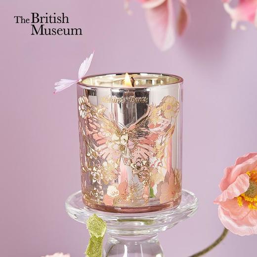 大英博物馆博物志系列单只香氛蜡烛-梦蝶 商品图0