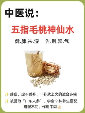 五指毛桃代茶饮