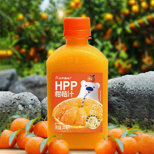 北冰洋HPP柑桔汁PET300ml，保质期45天 商品图4