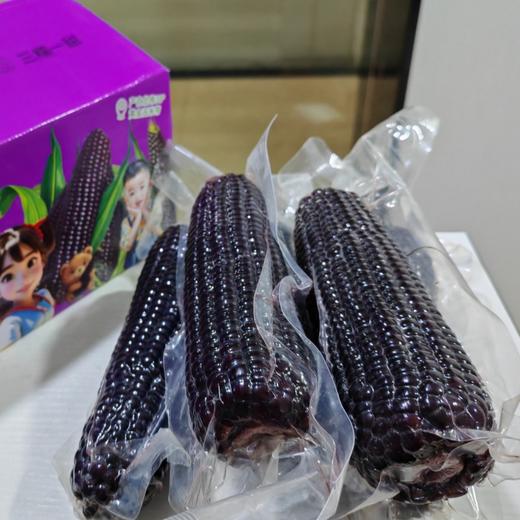 有机高叶酸玉米/有机种植黑糯玉米双拼丨农科院十年心血培育【2025年新玉米首发】 商品图7