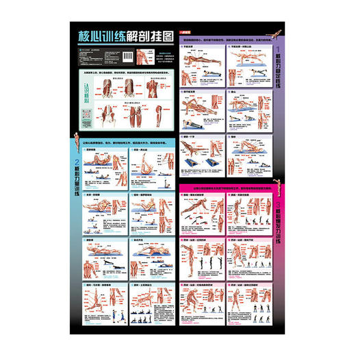 核心训练解剖挂图 健身训练计划 健身路线图 商品图1