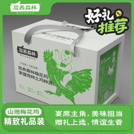 放养森林精品山地梅花鸡礼盒装 商品图1