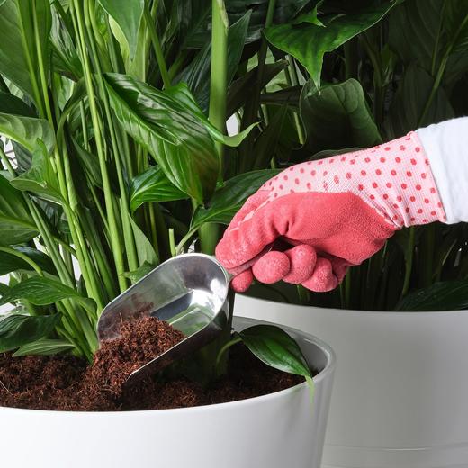 IKEA 勺子 2件套 商品图5