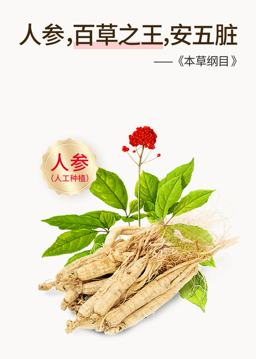 2盒*江中猴姑米稀黄精米糊 140g/盒  保质期到2026年9月【预售】 商品图3