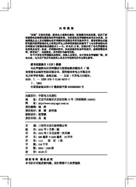 电化学储能电站并网测试与智能运维关键技术 商品图3