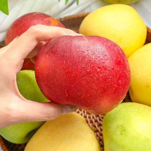 【顺丰包邮】苹果盲盒 苹果组合 多色多味 商品图0