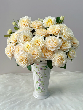 国产多头黄美琴玫瑰10支