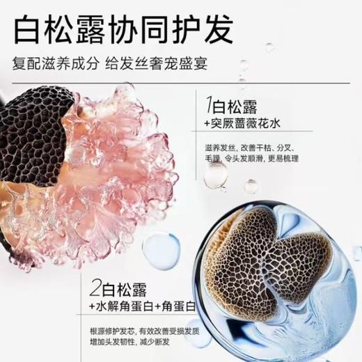 植物语录精油发膜白松露修复毛躁干枯染烫受损卷发养发顺滑柔顺效期27年5月 商品图3