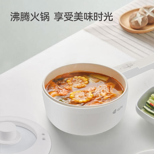 艾青春 新款电煮锅（标配）AI-HG303 商品图4