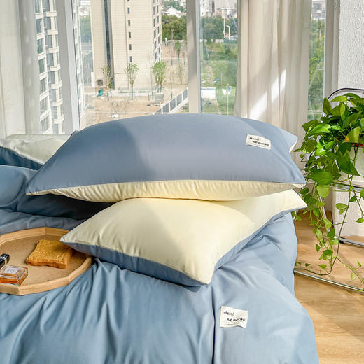 蓝若亭床上磨毛四件套 商品图5