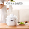 艾青春 电炖锅10A 商品缩略图5