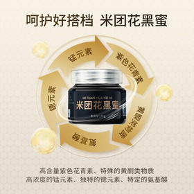 【老客福利】【云南米团花黑蜜】野蜂匠云南米团花黑蜂蜜纯天然野生态土蜂成熟原蜜无添加官方正品25克/瓶