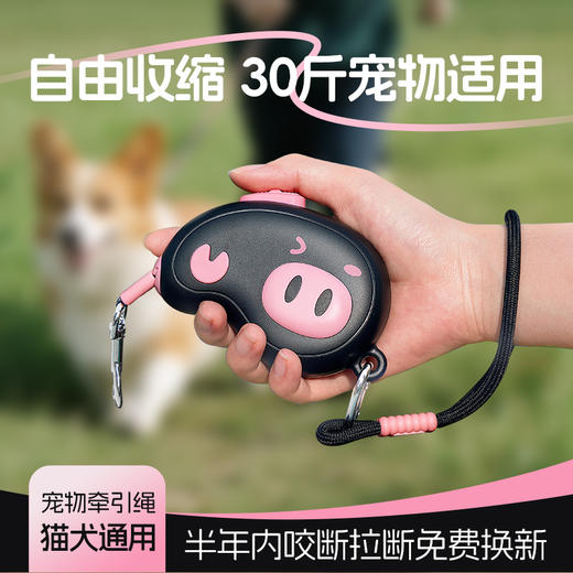 【双12秒杀】狗狗猫咪宠物牵引绳自动伸缩遛狗猫绳链中小型犬猫通用比熊泰迪 商品图0
