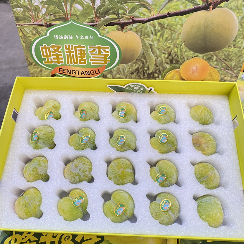 【蜂糖李】贵州六马，山间蜂糖李 ，入口如蜂蜜般香甜，非常好吃的一款李子，必吃推荐！