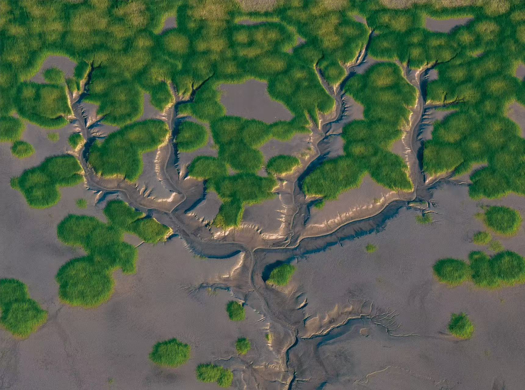 【航拍团】“钱塘江大潮”追潮、潮汐树4天摄影团