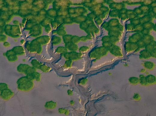 【航拍团】“钱塘江大潮”追潮、潮汐树4天摄影团 商品图0