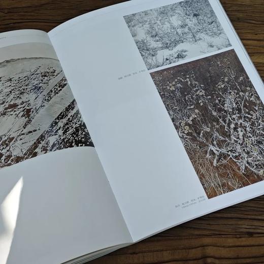 特惠！！《中国壁画-敦煌研究院美术卷：临摹篇·创作篇》（全两册），16开平装，作者：中国美术家协会壁画艺委会，江苏凤凰美术出版社2021年一版3印，406页，定价460，售价99 商品图8