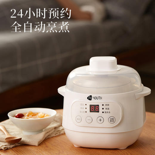艾青春 电炖锅10A 商品图6