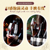 【法国原瓶进口 丹魄单酿 + 橡木桶陈酿】2023年份贵伦堡丹魄干红187ml*6 礼盒装13.5度黄金度数 商品缩略图4