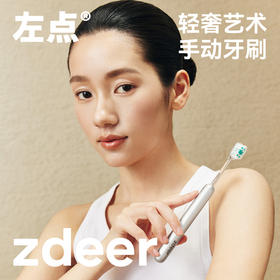 左点轻奢艺术牙刷（T1标准 哑面款 银色）