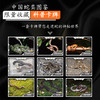 “中国蛇类图鉴【主题卡牌】” 蛇友 爬行爱好者爬友典藏 科普收藏卡【海峡书局 官方正版 48小时发货】 商品缩略图1