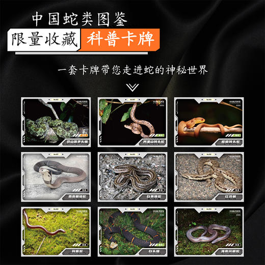 “中国蛇类图鉴【主题卡牌】” 蛇友 爬行爱好者爬友典藏 科普收藏卡【海峡书局 官方正版 48小时发货】 商品图1