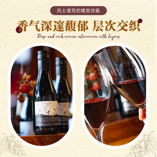 【法国原瓶进口 丹魄单酿 + 橡木桶陈酿】2023年份贵伦堡丹魄干红187ml*6 礼盒装13.5度黄金度数 商品图3