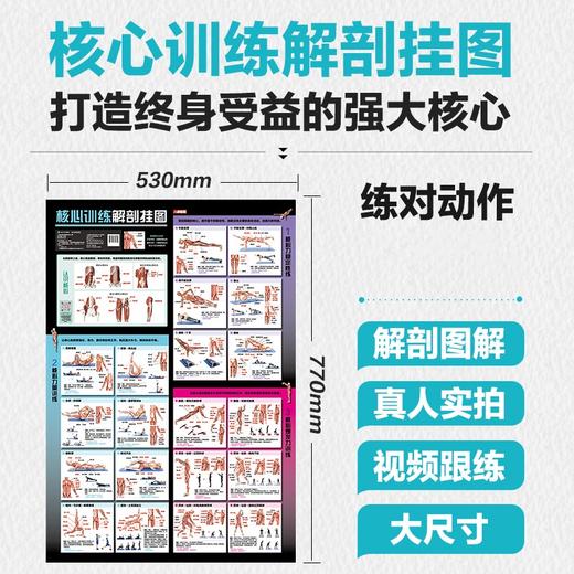 核心训练解剖挂图 健身训练计划 健身路线图 商品图0