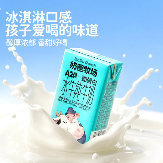 奶爸牧场A2β-酪蛋白娟姗水牛纯牛奶125ml儿童营养奶原生高钙三箱 商品图3