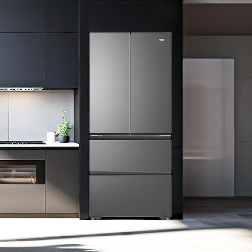 Haier/海尔 BCD-491WGHFDB5BFU1灰 冰箱 商品图1