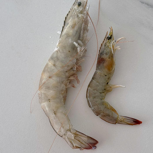 厄瓜多尔白虾 海捕大虾，每箱净重约3.4斤，鲜甜Q弹肉质紧致，富含蛋白质和氨基酸，健康减脂优质食材～ 商品图5