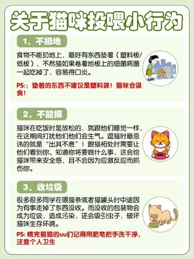 🍽️猫咪喂食大解密：这些注意事项你知道吗❓