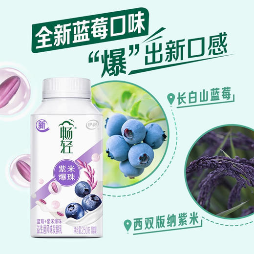 伊利畅轻利乐冠蓝莓紫米爆珠风味发酵乳250g，保质期24天 商品图1