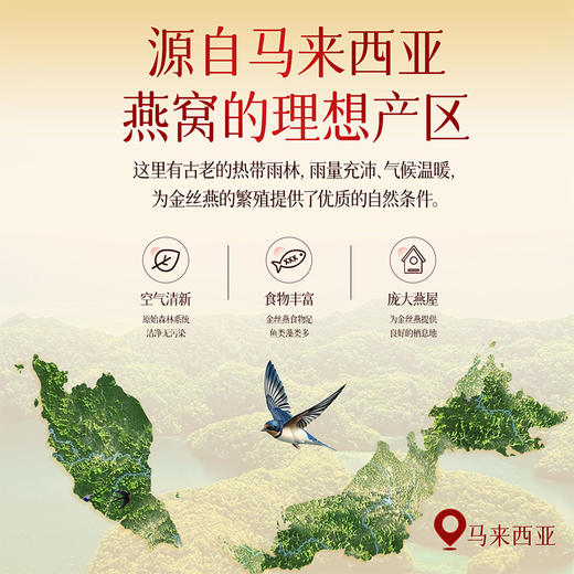 雷允上马来西亚九星白燕盏干燕窝50g/盒 100g/盒 商品图4