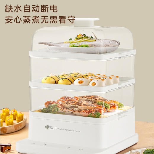 艾青春 智能款电蒸锅KH-Z06（22L） 商品图8