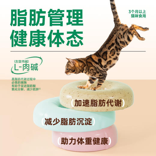 耐威克经典系列猫粮｜美毛长肉｜鸡鱼肉｜健康体态｜告别虚胖 商品图4
